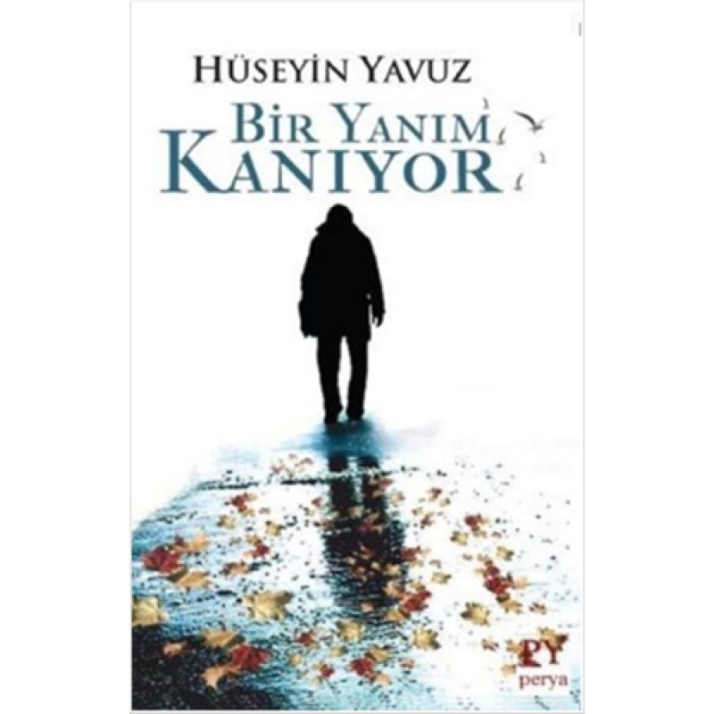 Bir Yanım Kanıyor Bir Yanım Kanıyor