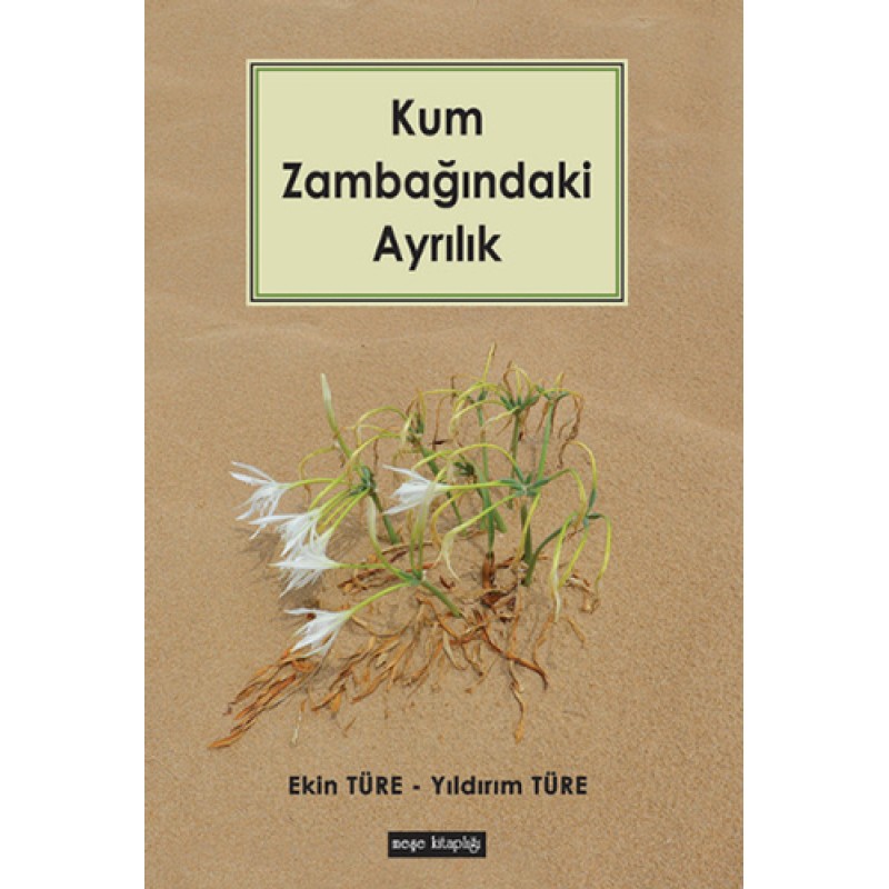 Kum Zambağındaki Ayrılık