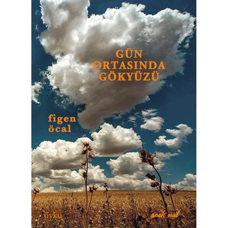 Gün Ortasında Gökyüzü Gün Ortasında Gökyüzü