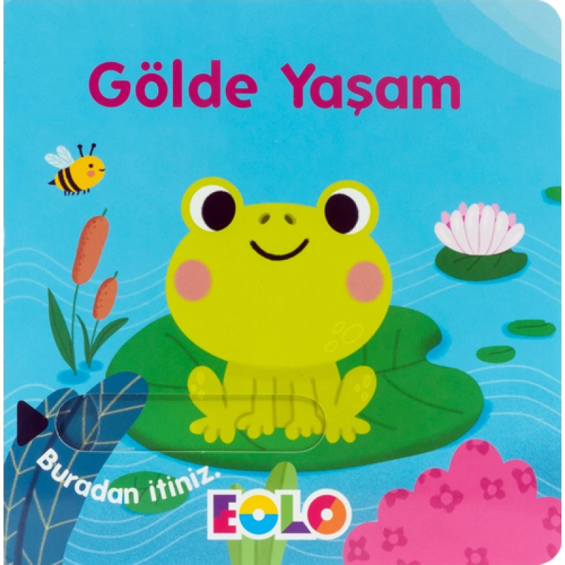 Gölde Yaşam Gölde Yaşam