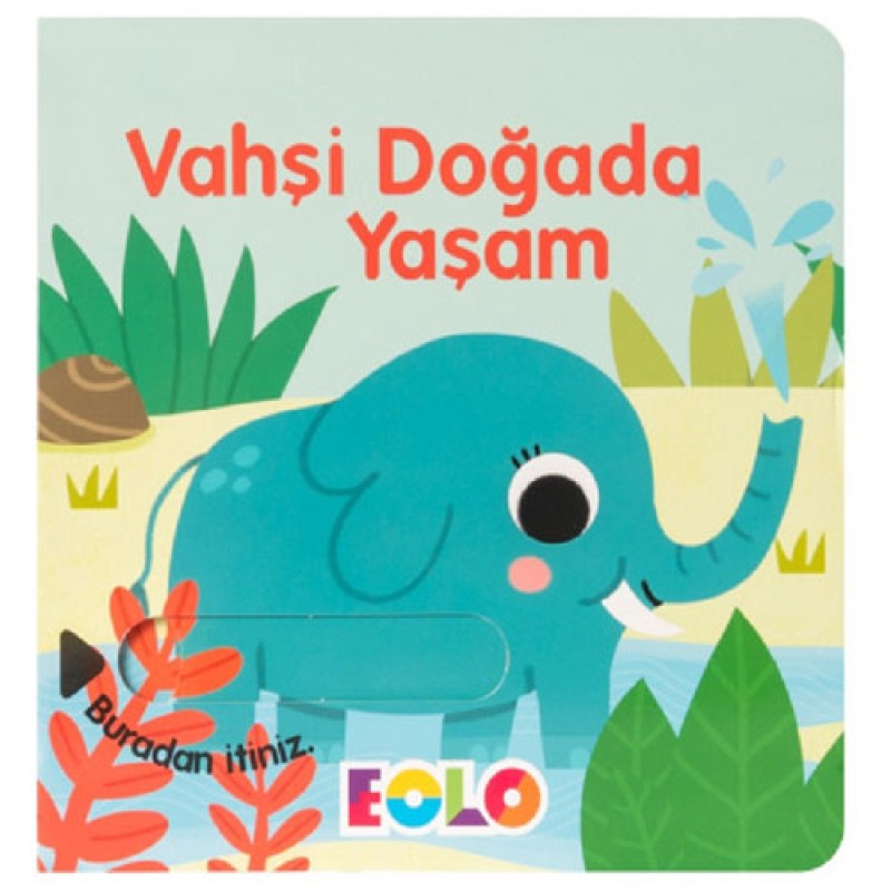 Vahşi Doğada Yaşam Vahşi Doğada Yaşam