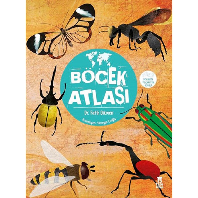 Böcek Atlası (Ciltli)