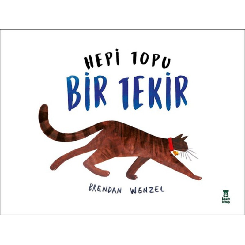 Hepi Topu Bir Tekir Hepi Topu Bir Tekir