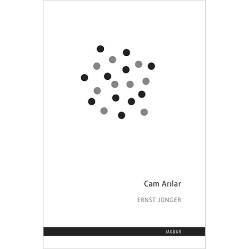 Cam Arılar Cam Arılar