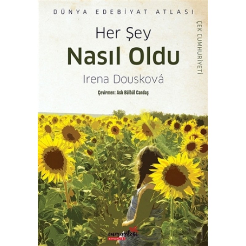 Her Şey Nasıl Oldu Her Şey Nasıl Oldu