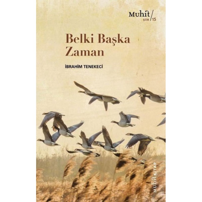 Belki Başka Zaman Belki Başka Zaman
