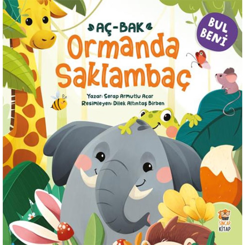 Bul Beni Ormanda Saklambaç (Ciltli)