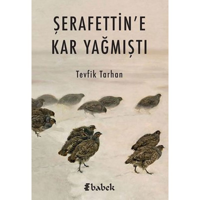 Şerafettin'e Kar Yağmıştı Şerafettin'e Kar Yağmıştı