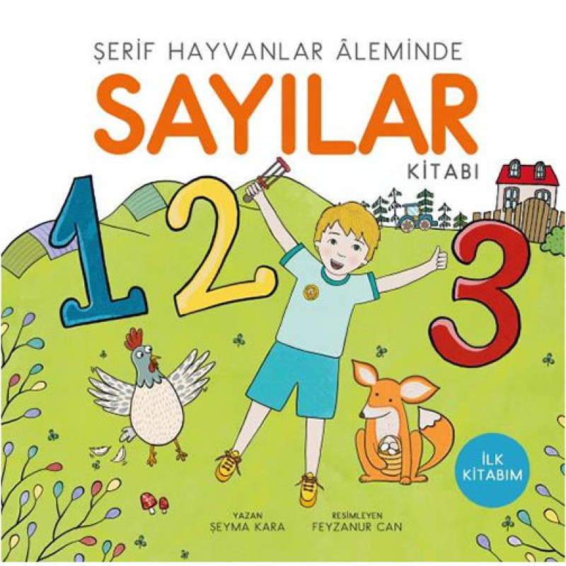 Sayılar Sayılar