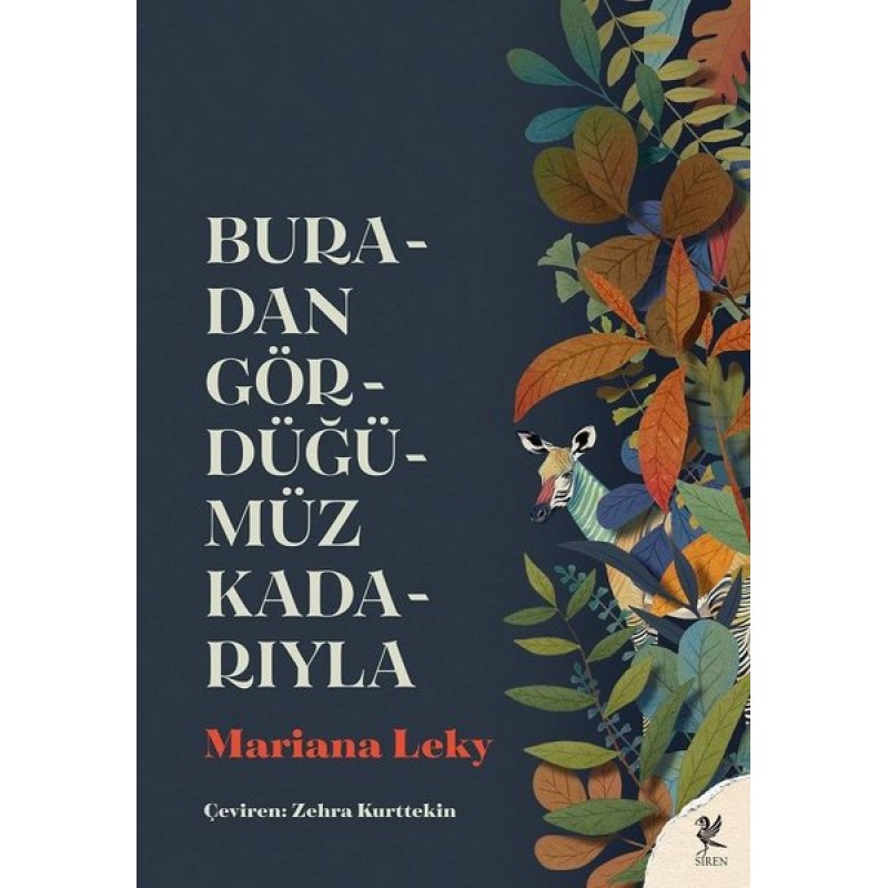 Buradan Gördüğümüz Kadarıyla Buradan Gördüğümüz Kadarıyla
