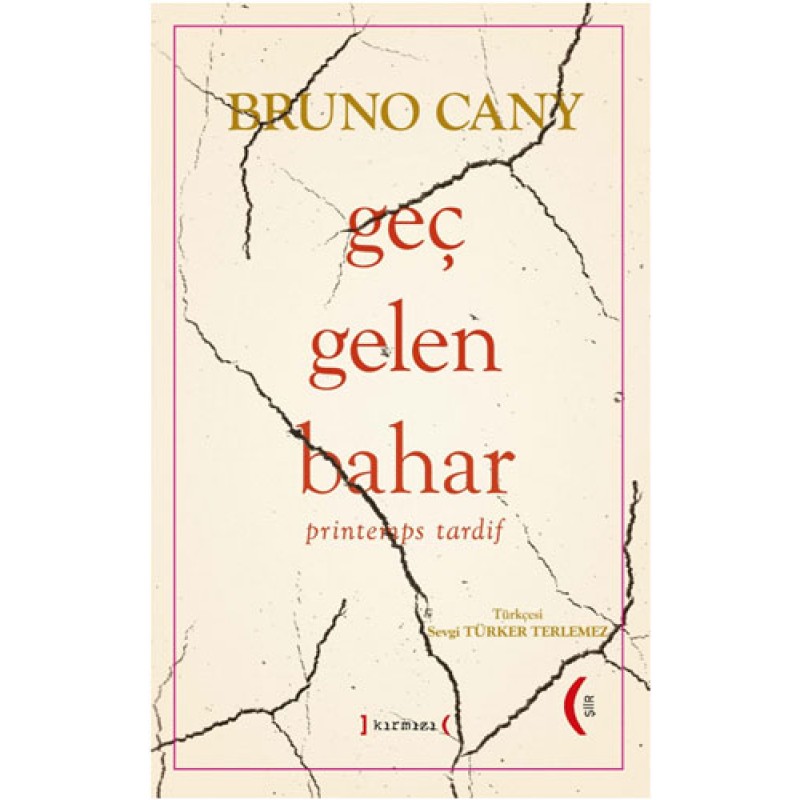 Geç Gelen Bahar (Ciltli) Geç Gelen Bahar (Ciltli)