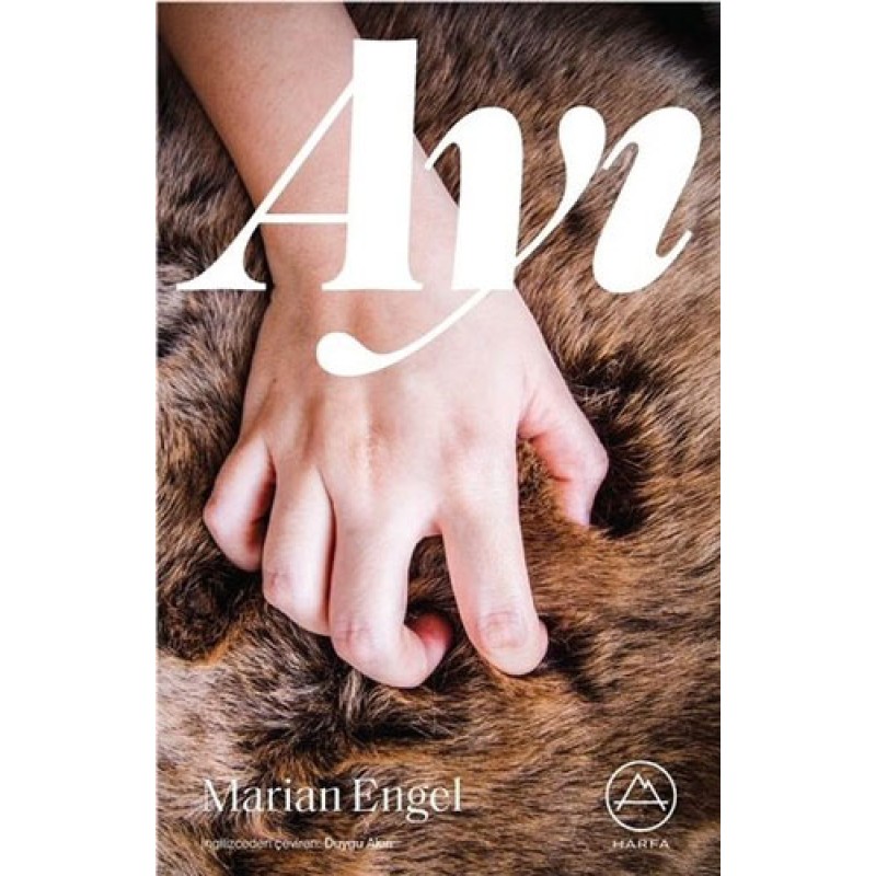 Ayı Ayı