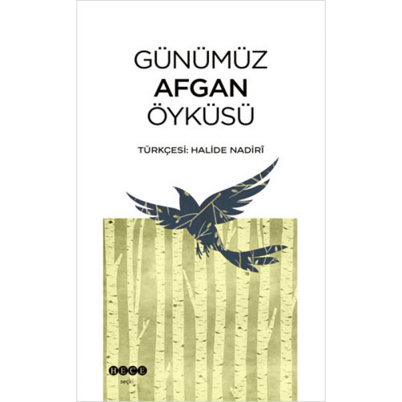 Günümüz Afgan Öyküsü Günümüz Afgan Öyküsü