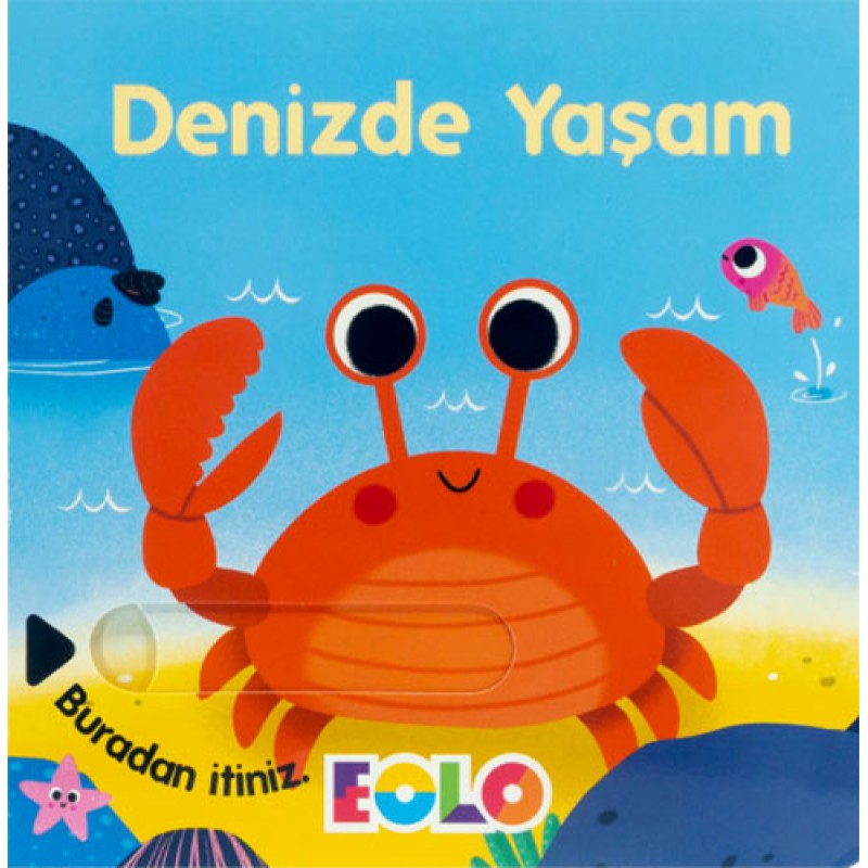 Denizde Yaşam Denizde Yaşam