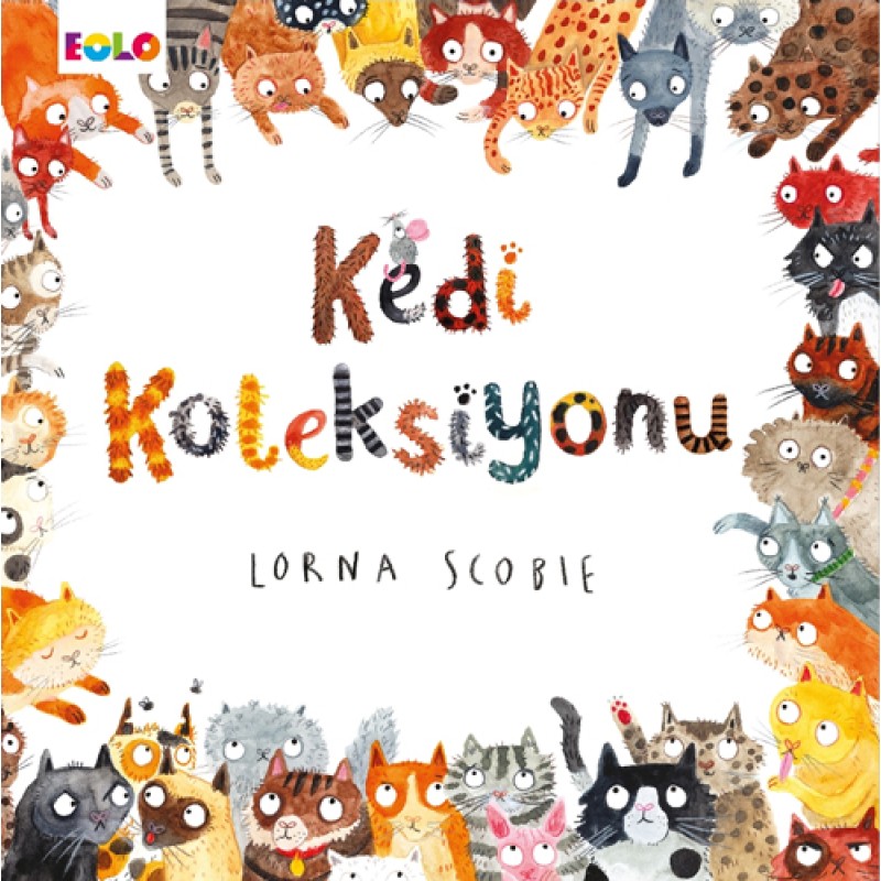 Kedi Koleksiyonu Kedi Koleksiyonu