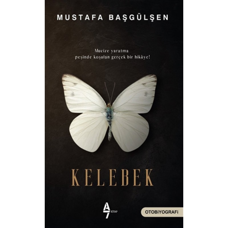 Kelebek Kelebek