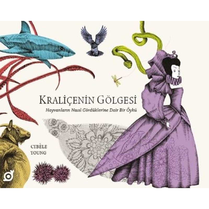 Kraliçenin Gölgesi Kraliçenin Gölgesi