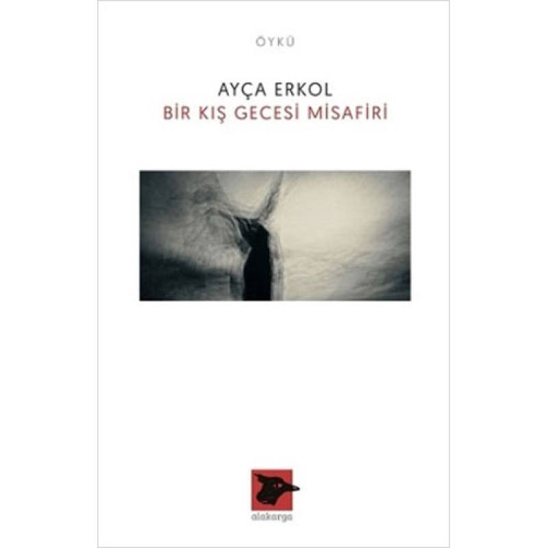 Bir Kış Gecesi Misafiri Bir Kış Gecesi Misafiri