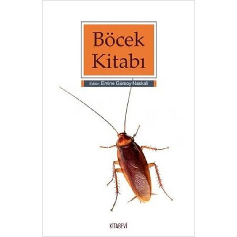 Böcek Kitabı