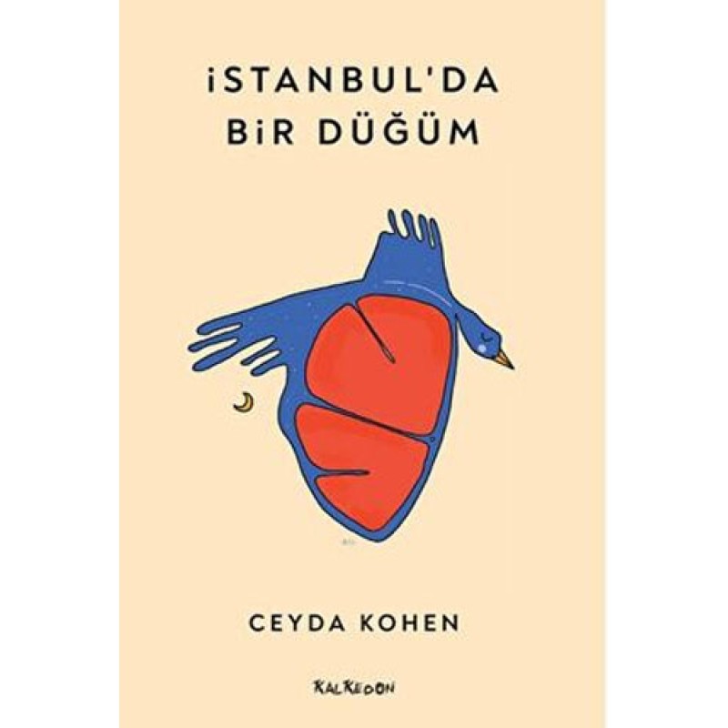 İstanbul’da Bir Düğüm İstanbul’da Bir Düğüm