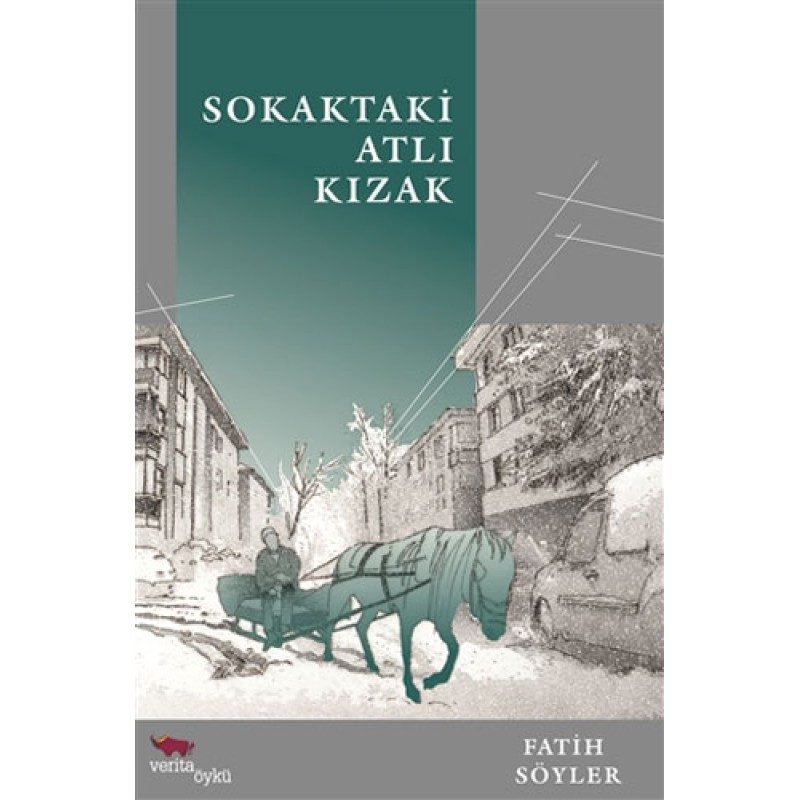 Sokaktaki Atlı Kızak Sokaktaki Atlı Kızak