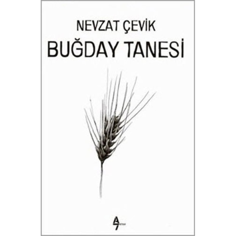 Buğday Tanesi Buğday Tanesi