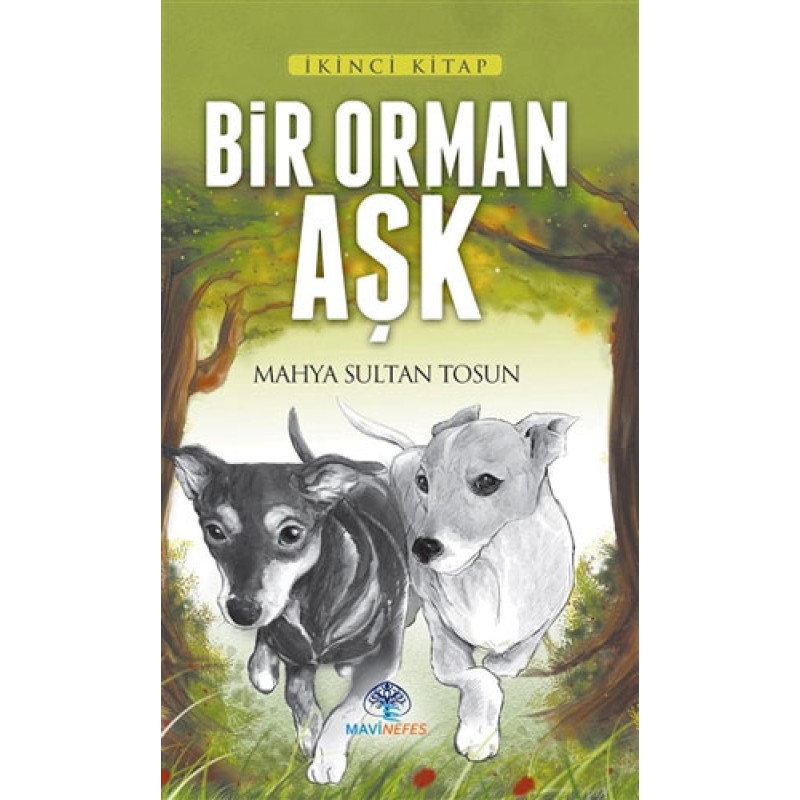 Bir Orman Aşk