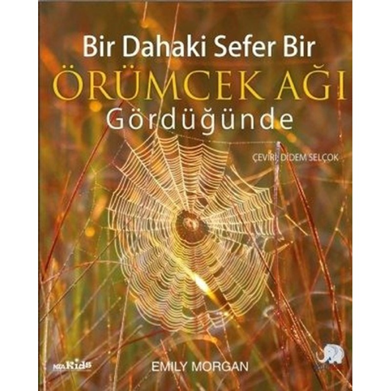 Bir Dahaki Sefer Bir Örümcek Ağı Gördüğünde Bir Dahaki Sefer Bir Örümcek Ağı Gördüğünde