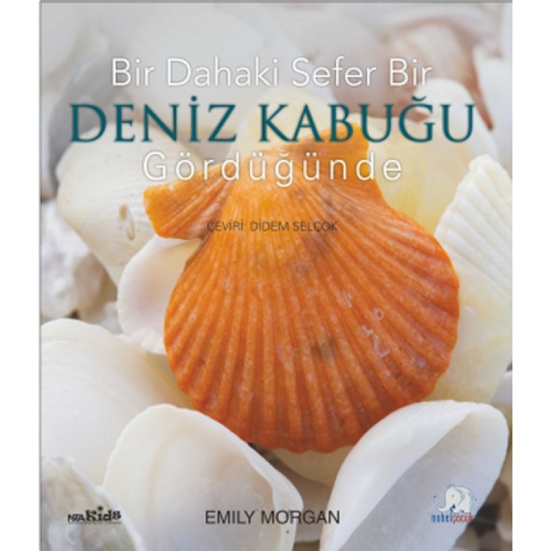 Bir Dahaki Sefer Bir Deniz Kabuğu Gördüğünde Bir Dahaki Sefer Bir Deniz Kabuğu Gördüğünde