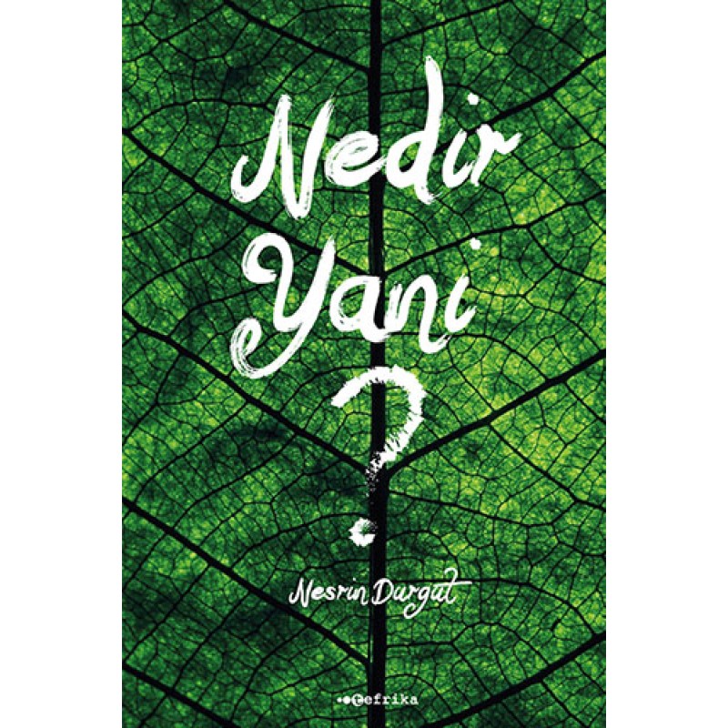Nedir Yani?