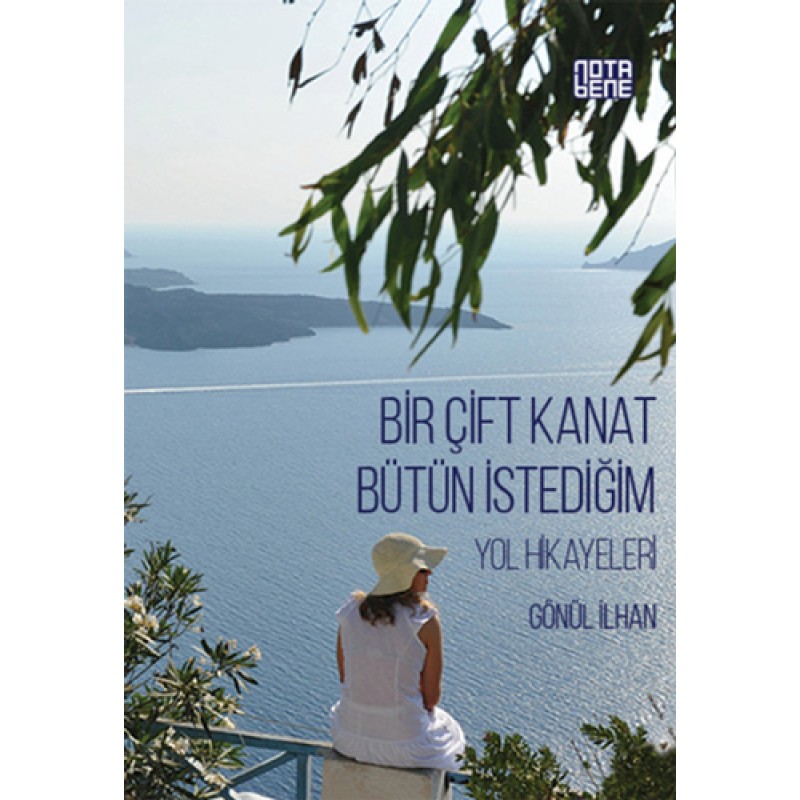 Bir Çift Kanat Bütün İstediğim