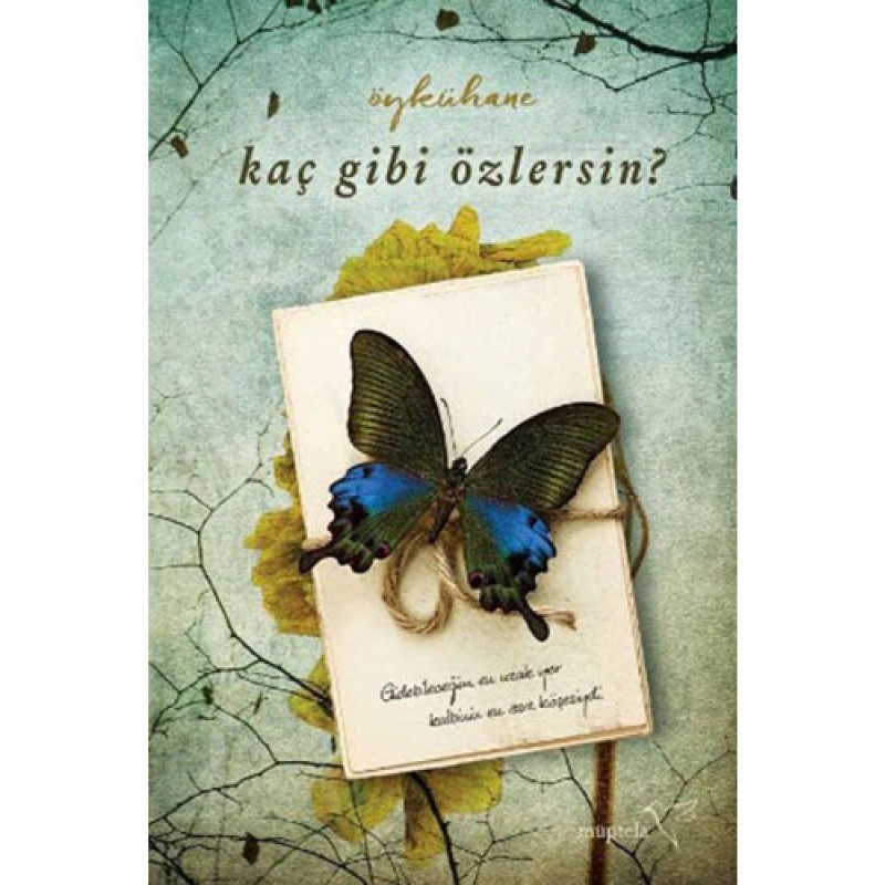 Kaç Gibi Özlersin?