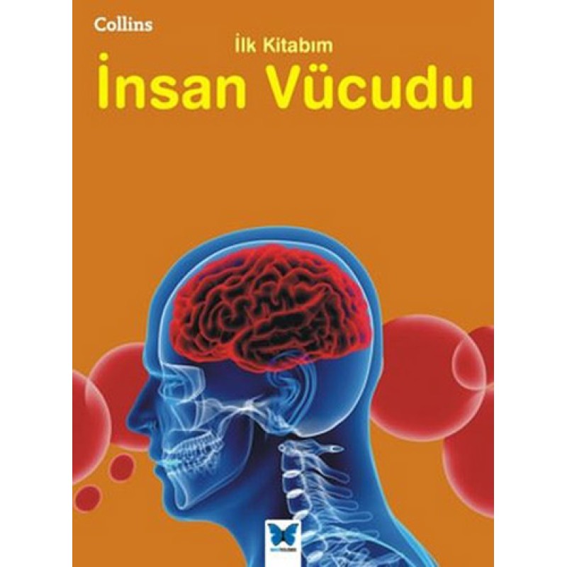İlk Kitabım - İnsan Vücudu