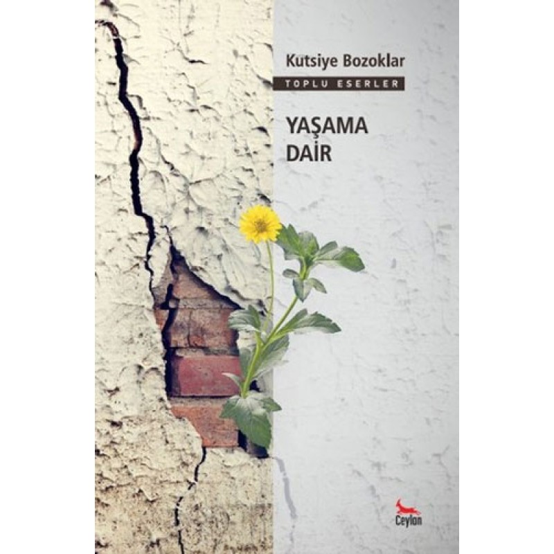 Yaşama Dair Yaşama Dair