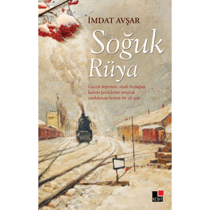 Soğuk Rüya Soğuk Rüya