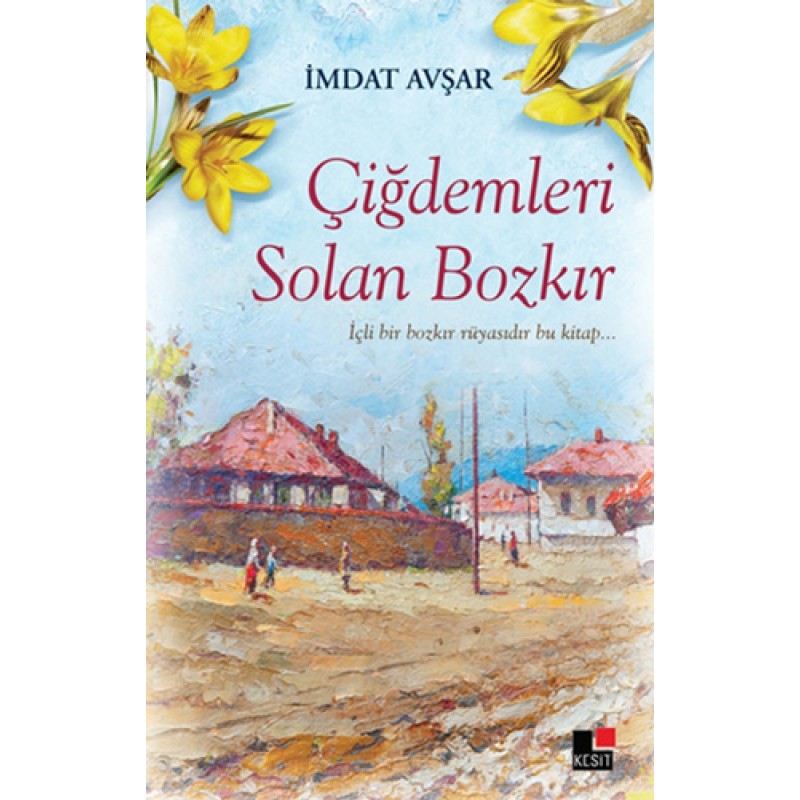 Çiğdemleri Solan Bozkır Çiğdemleri Solan Bozkır