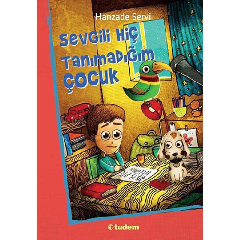 Sevgili Hiç Tanımadığım Çocuk Sevgili Hiç Tanımadığım Çocuk
