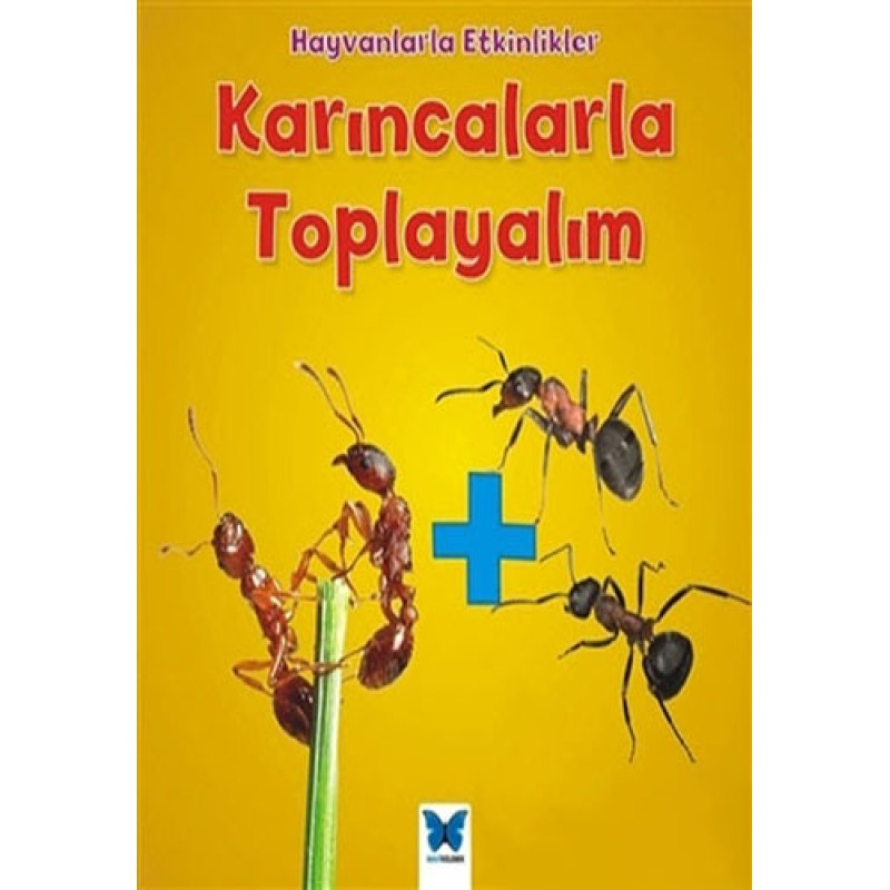 Karıncalarla Toplayalım Karıncalarla Toplayalım