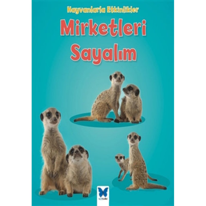 Mirketleri Sayalım Mirketleri Sayalım