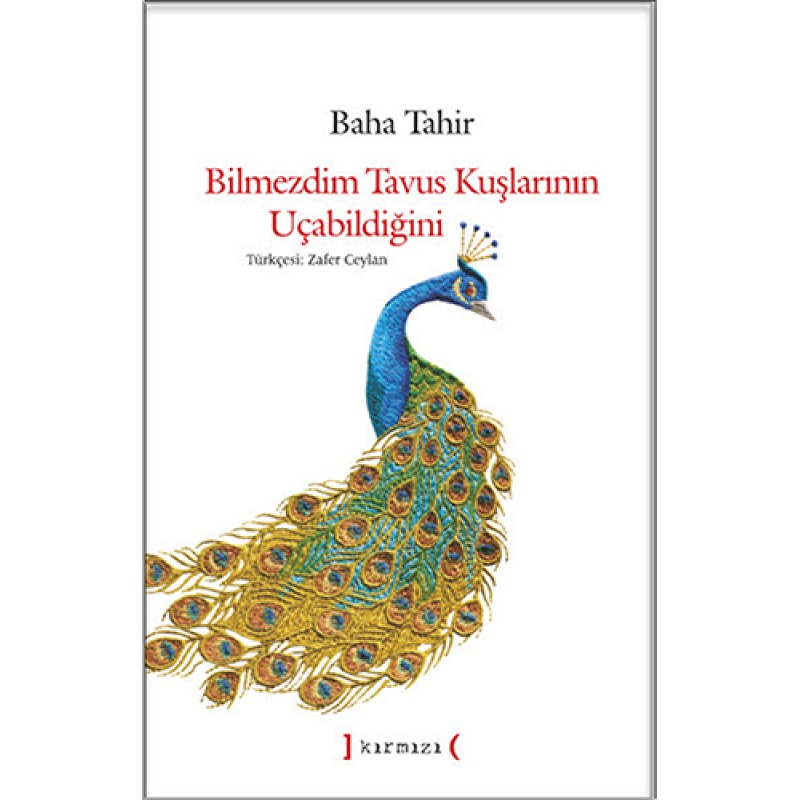Bilmezdim Tavus Kuşlarının Uçabildiğini Bilmezdim Tavus Kuşlarının Uçabildiğini