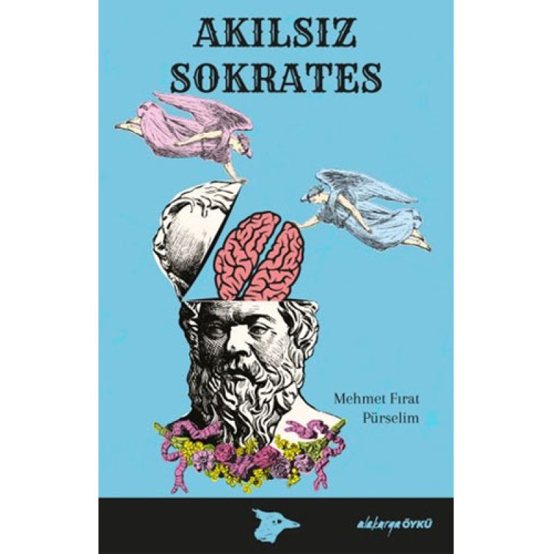 Akılsız Sokrates Akılsız Sokrates