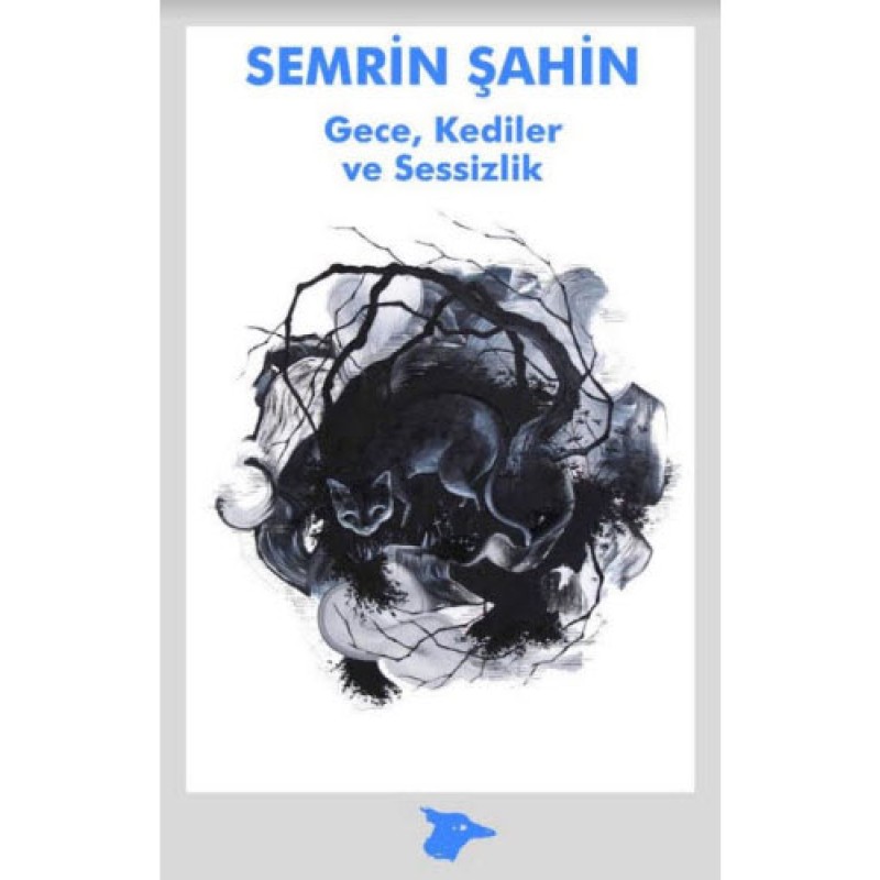 Gece, Kediler ve Sessizlik