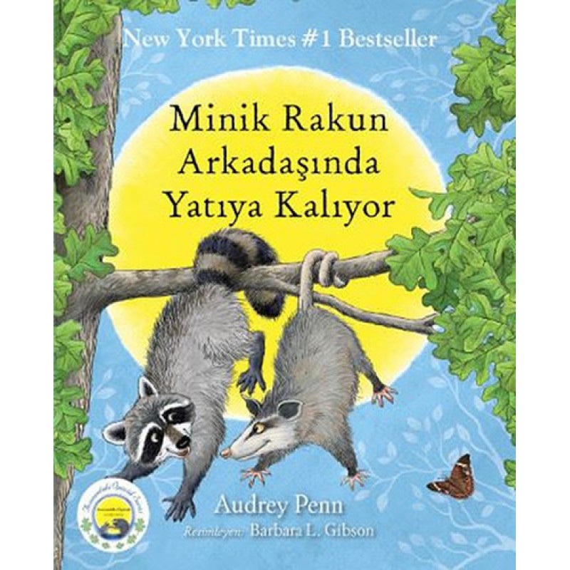 Minik Rakun Arkadaşında Yatıya Kalıyor Minik Rakun Arkadaşında Yatıya Kalıyor