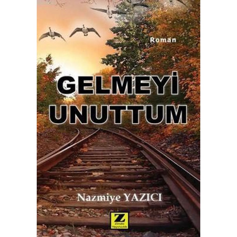 Gelmeyi Unuttum Gelmeyi Unuttum