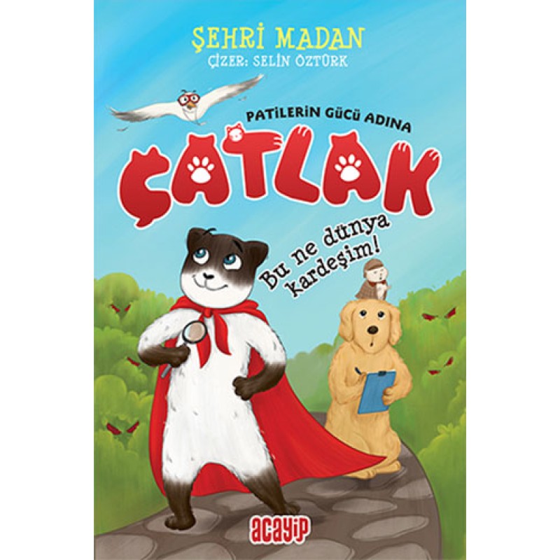 Çatlak – Bu Ne Dünya Kardeşim Çatlak – Bu Ne Dünya Kardeşim