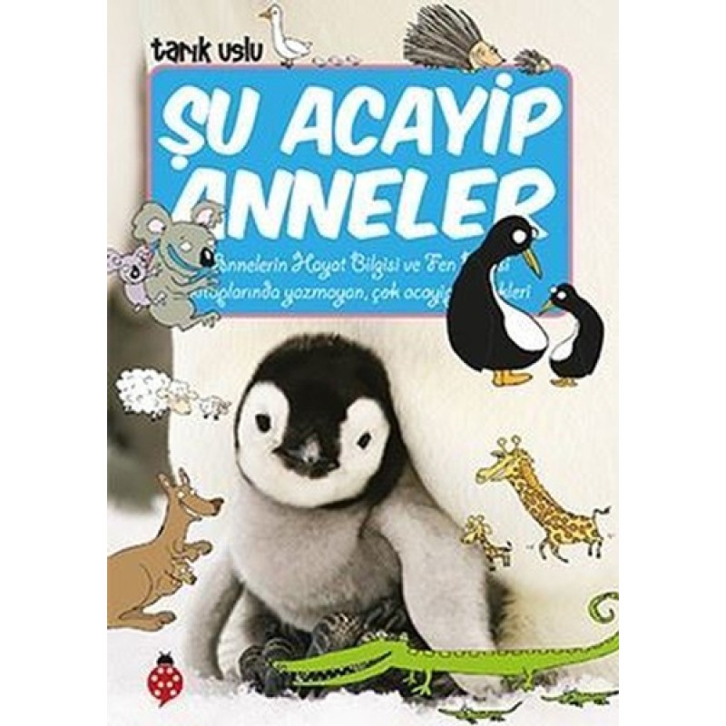 Şu Acayip Anneler Şu Acayip Anneler