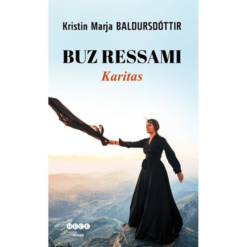 Buz Ressamı Buz Ressamı