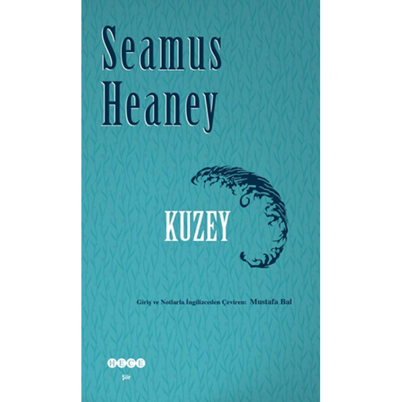 Kuzey Kuzey
