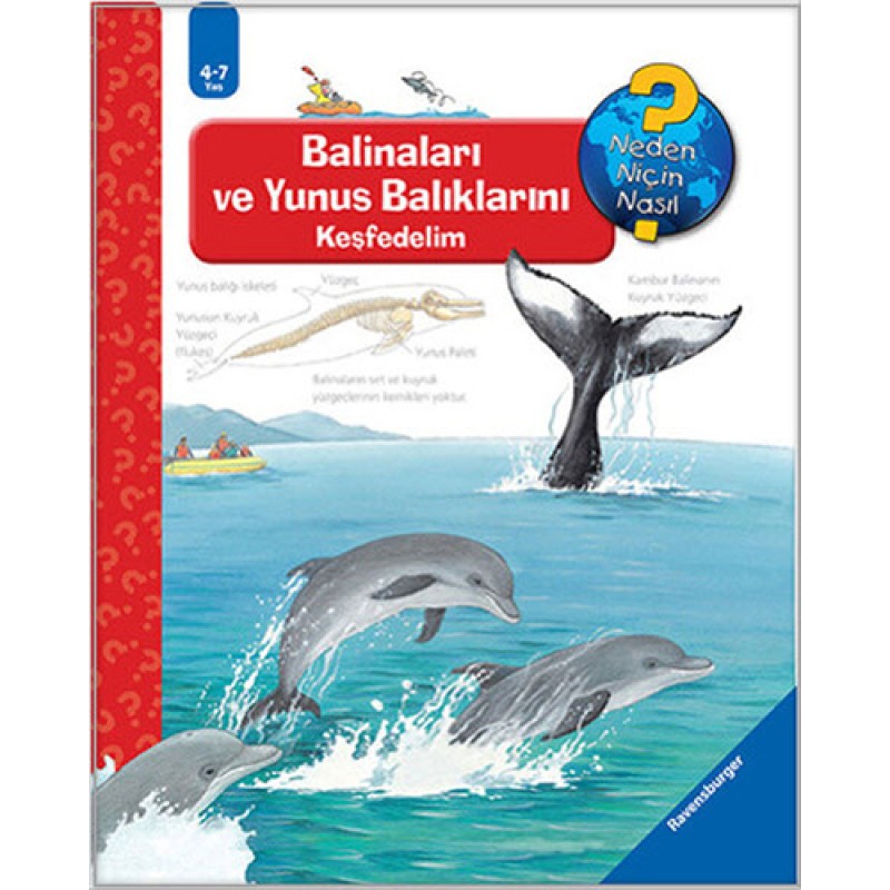 Balinaları ve Yunus Balıklarını Keşfedelim (Ciltli)