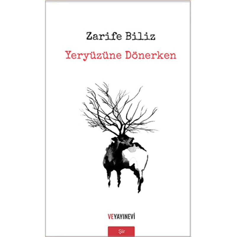 Yeryüzüne Dönerken